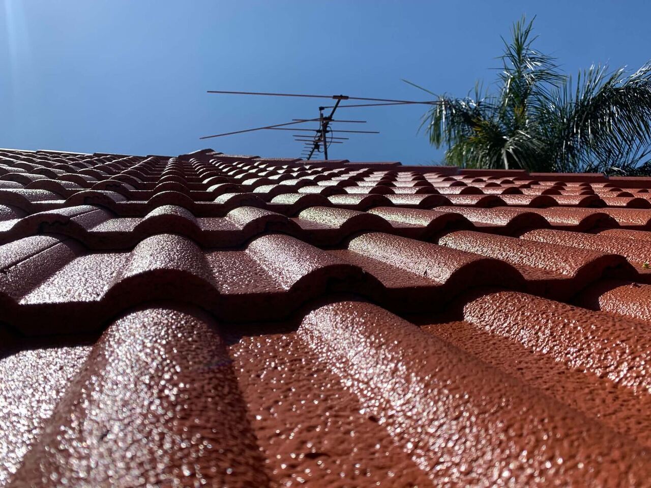 Restored profiled terracotta tile roof in Brisbane